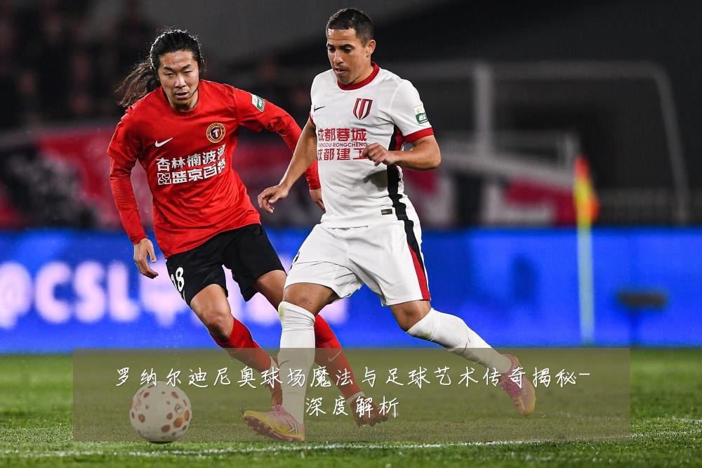 罗纳尔迪尼奥球场魔法与足球艺术传奇揭秘-深度解析